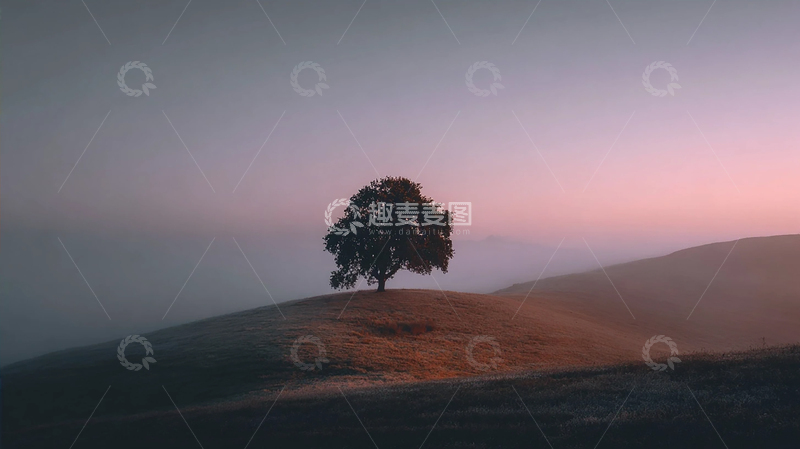高清大图下载【趣麦麦图】夕阳下孤树的梦境