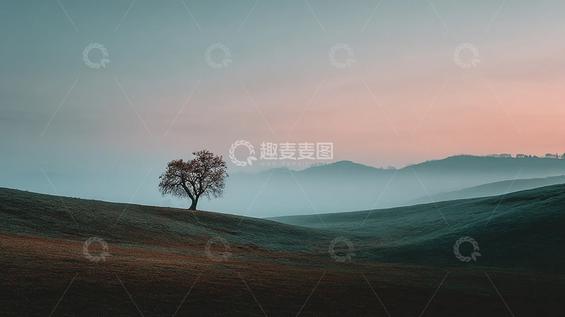 高清大图下载【趣麦麦图】孤树遥望天际的诗意画卷
