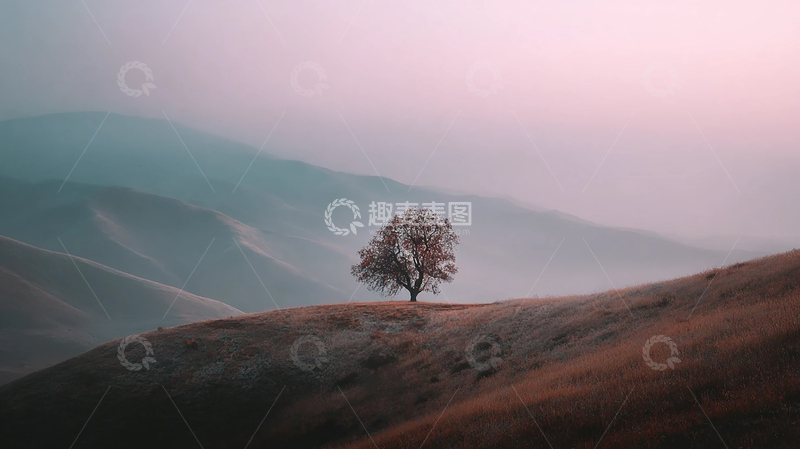 高清大图下载【趣麦麦图】孤独之树迎曙光的奇幻旅程