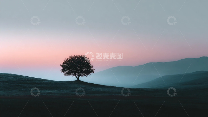 高清大图下载【趣麦麦图】晨曦中孤树的梦幻旅程