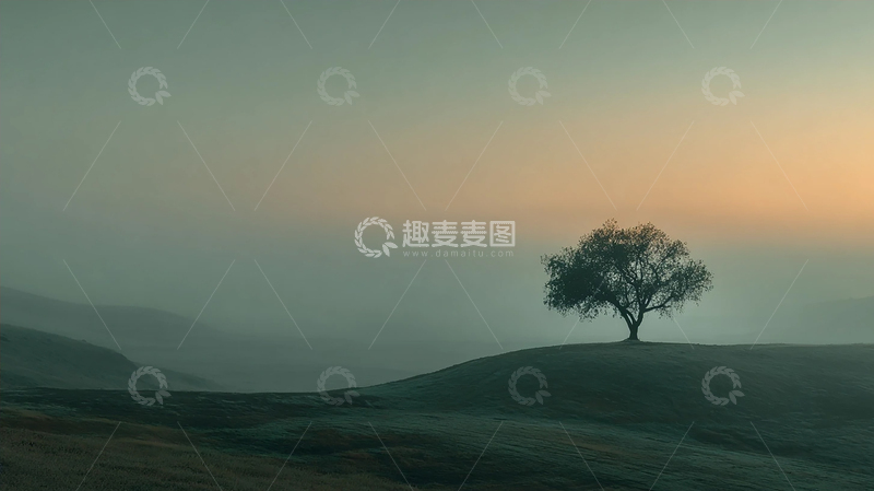 高清大图下载【趣麦麦图】孤树守望荒原的寂寞岁月