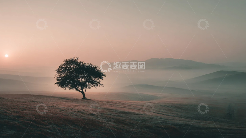 高清大图下载【趣麦麦图】迷雾山丘中的孤独树影