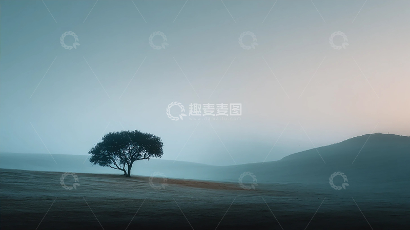 高清大图下载【趣麦麦图】孤树荒原的静谧守望者