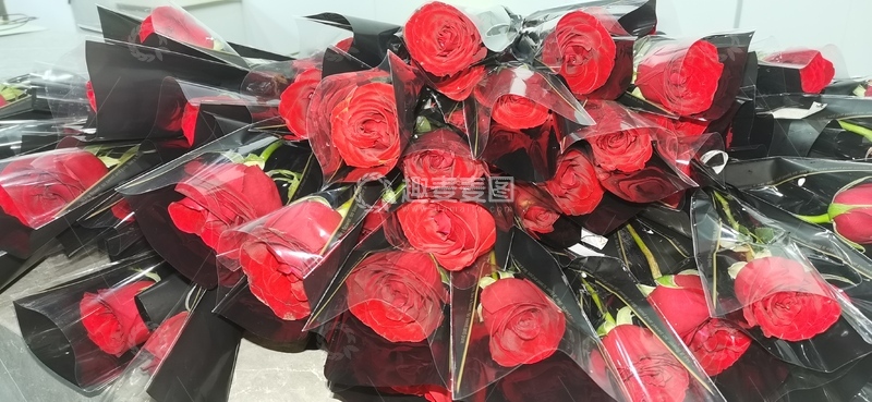 高清大图下载【趣麦麦图】红玫瑰花束鲜花装饰花店素材