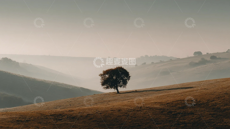 高清大图下载【趣麦麦图】孤树横卧秋日旷野