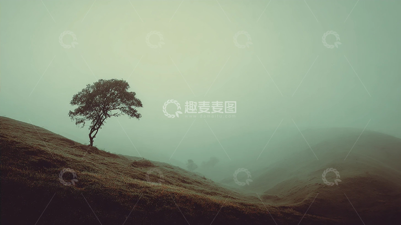 高清大图下载【趣麦麦图】孤树遥立云雾之巅