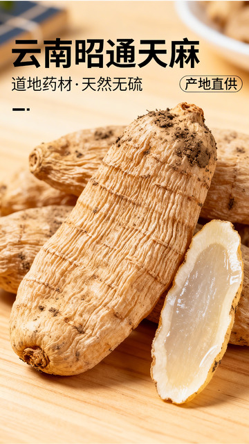 云南昭通天麻药材近距离素材