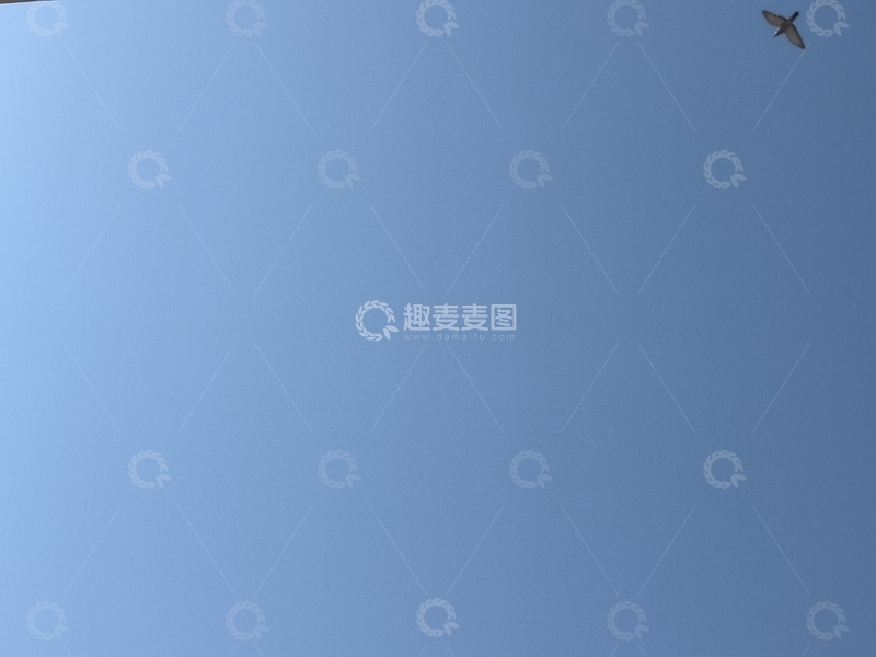 高清大图下载【趣麦麦图】蓝天飞鸟剪影自然风光摄影