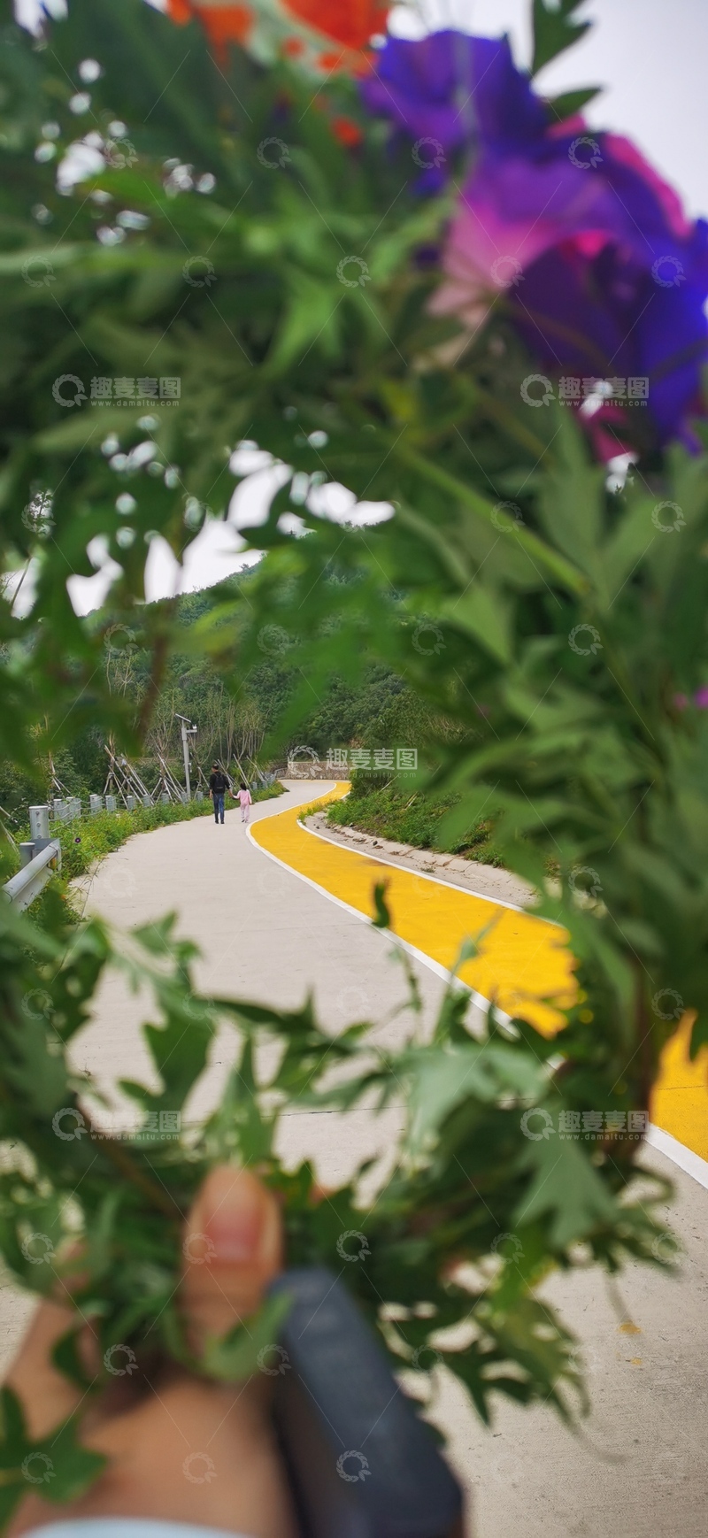 高清大图下载【趣麦麦图】公园小径花卉美景