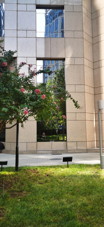 城市建筑花景摄影