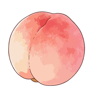 手绘风桃子水果插画设计素材