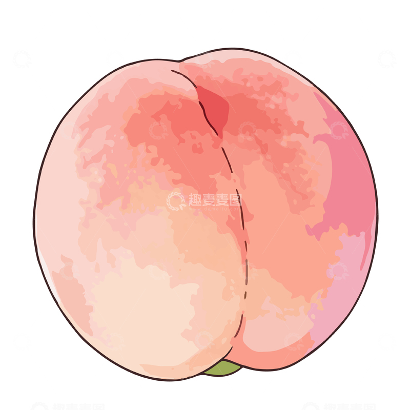 源文件下载【趣麦麦图】水彩蜜桃插画