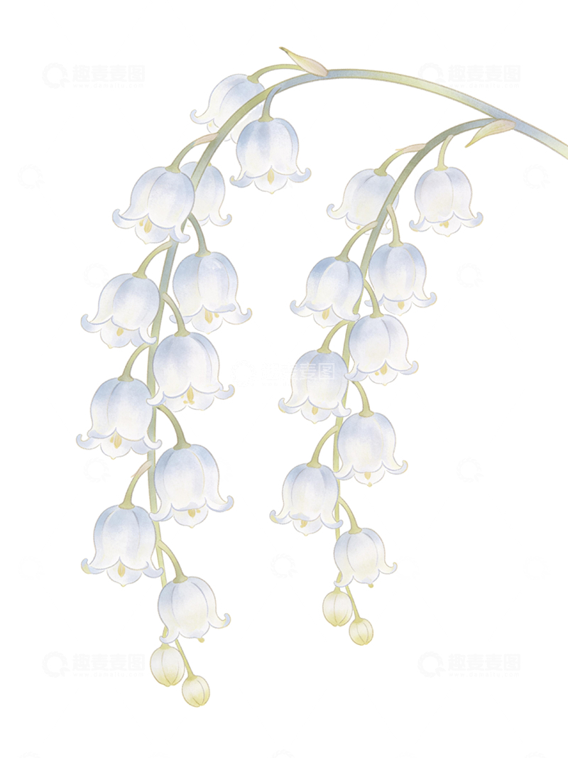 源文件下载【趣麦麦图】手绘风格风铃花