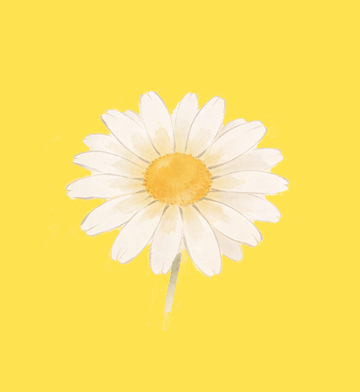 手绘风格小雏菊