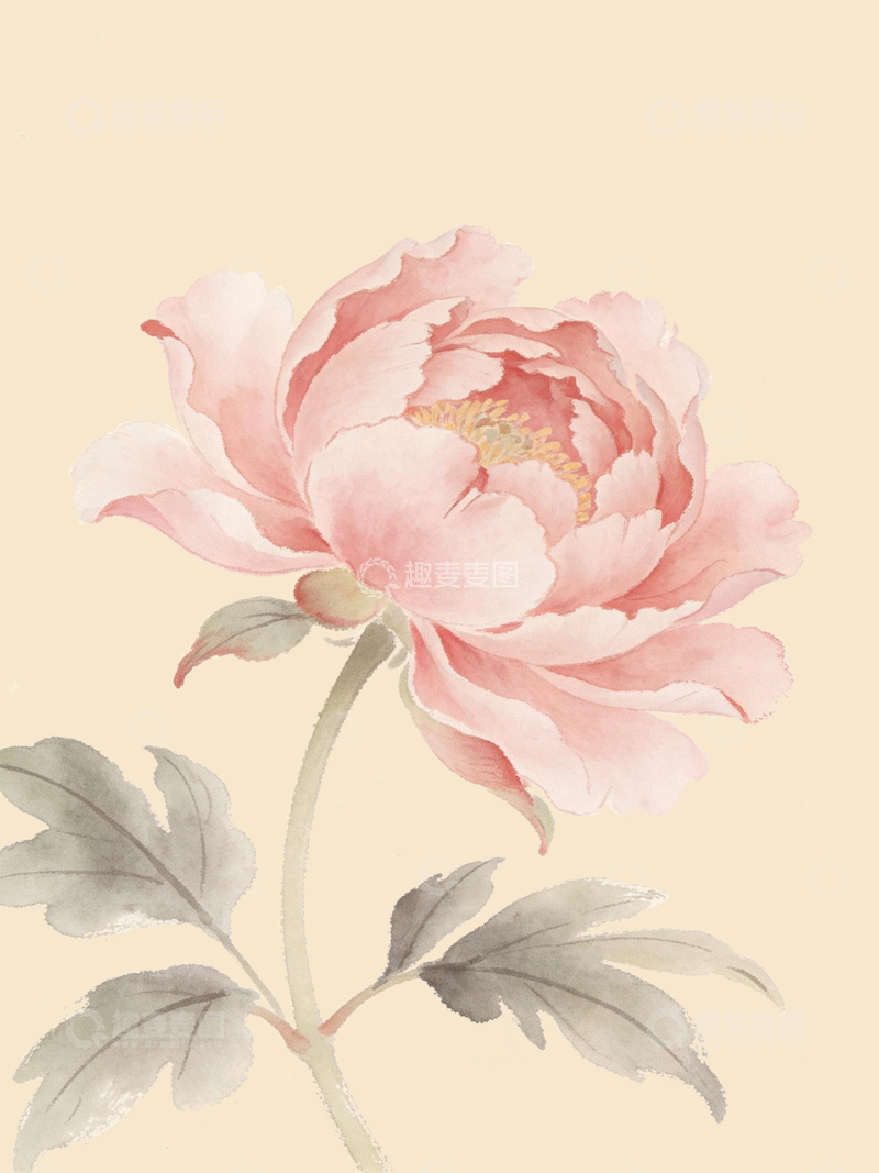 源文件下载【趣麦麦图】手绘风格牡丹花