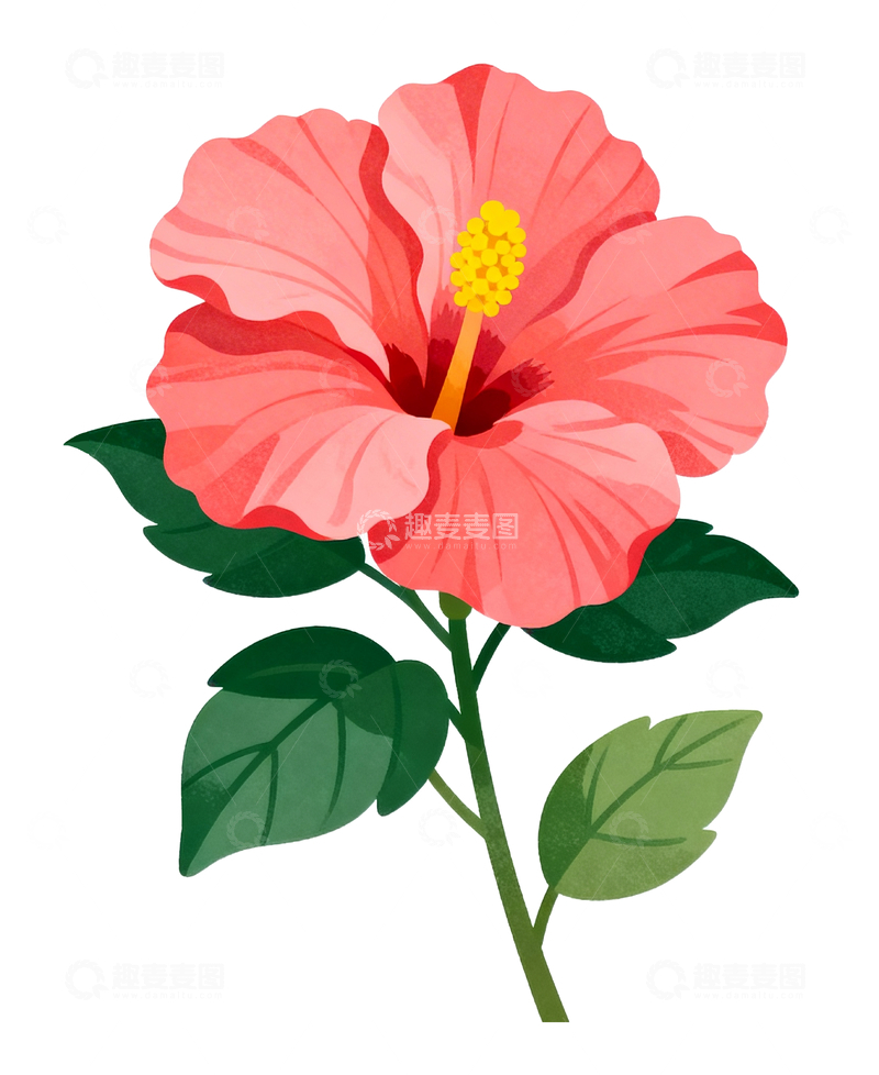 源文件下载【趣麦麦图】手绘风格扶桑花3