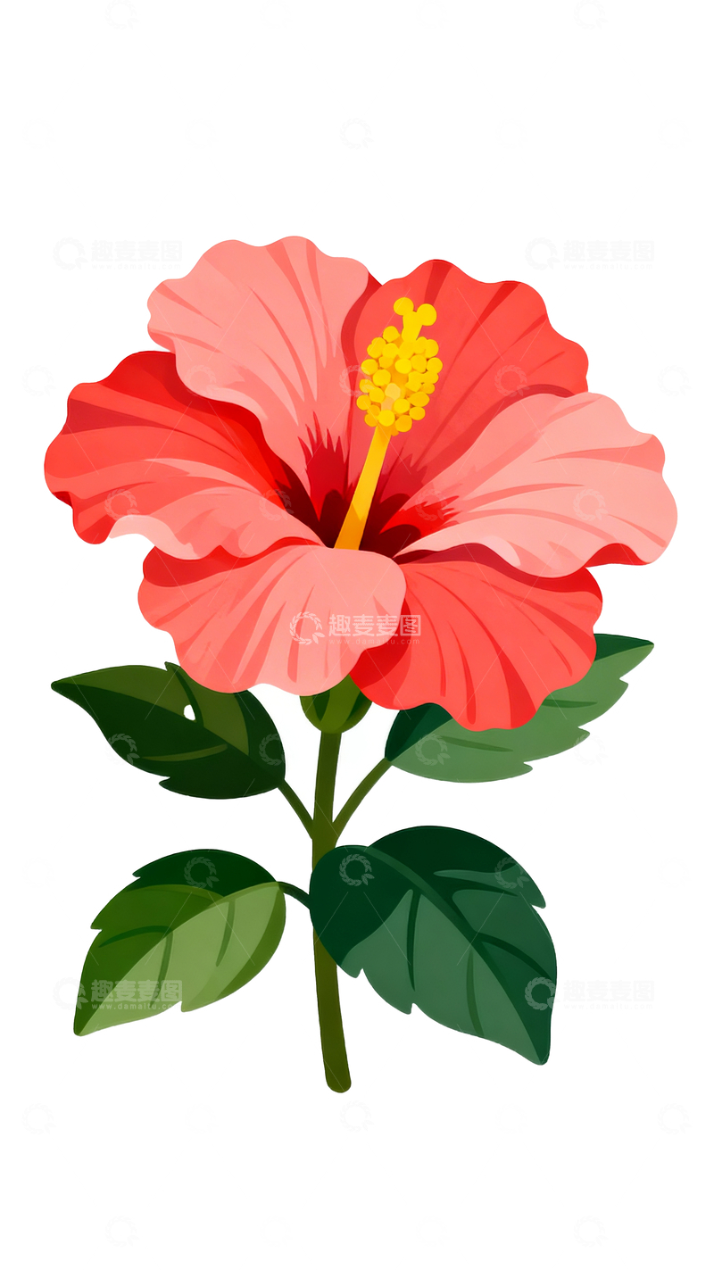 源文件下载【趣麦麦图】手绘风格扶桑花2