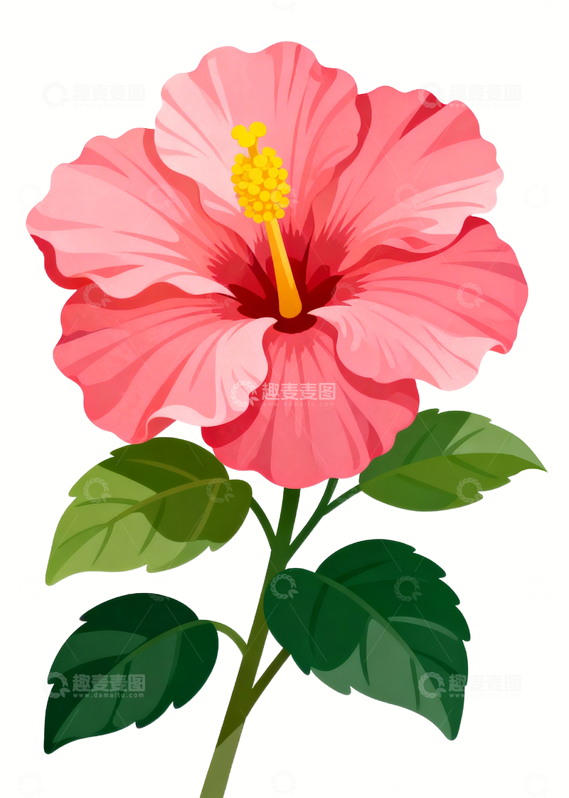 源文件下载【趣麦麦图】手绘风格扶桑花7