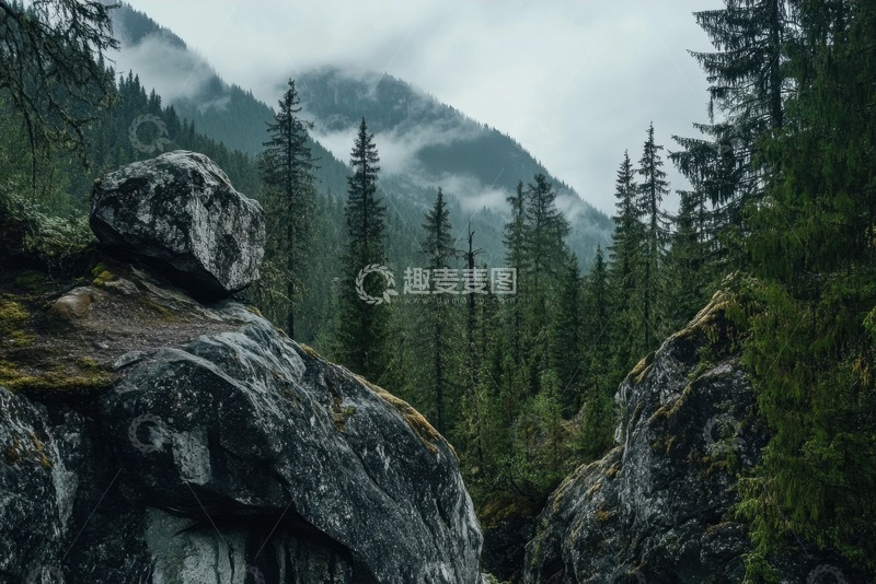 高清大图下载【趣麦麦图】森林树林自然美景