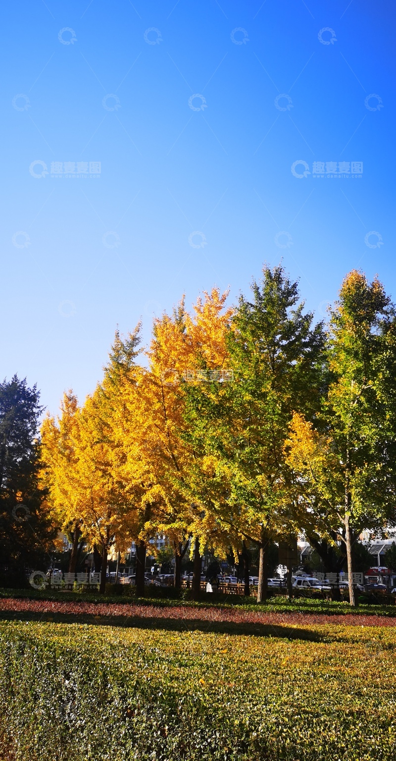 高清大图下载【趣麦麦图】秋日公园美景摄影