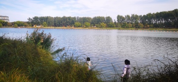 湖畔宁静自然风光