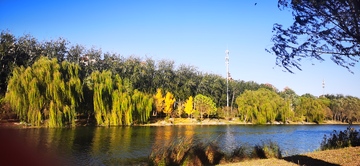 秋日湖畔风景摄影3