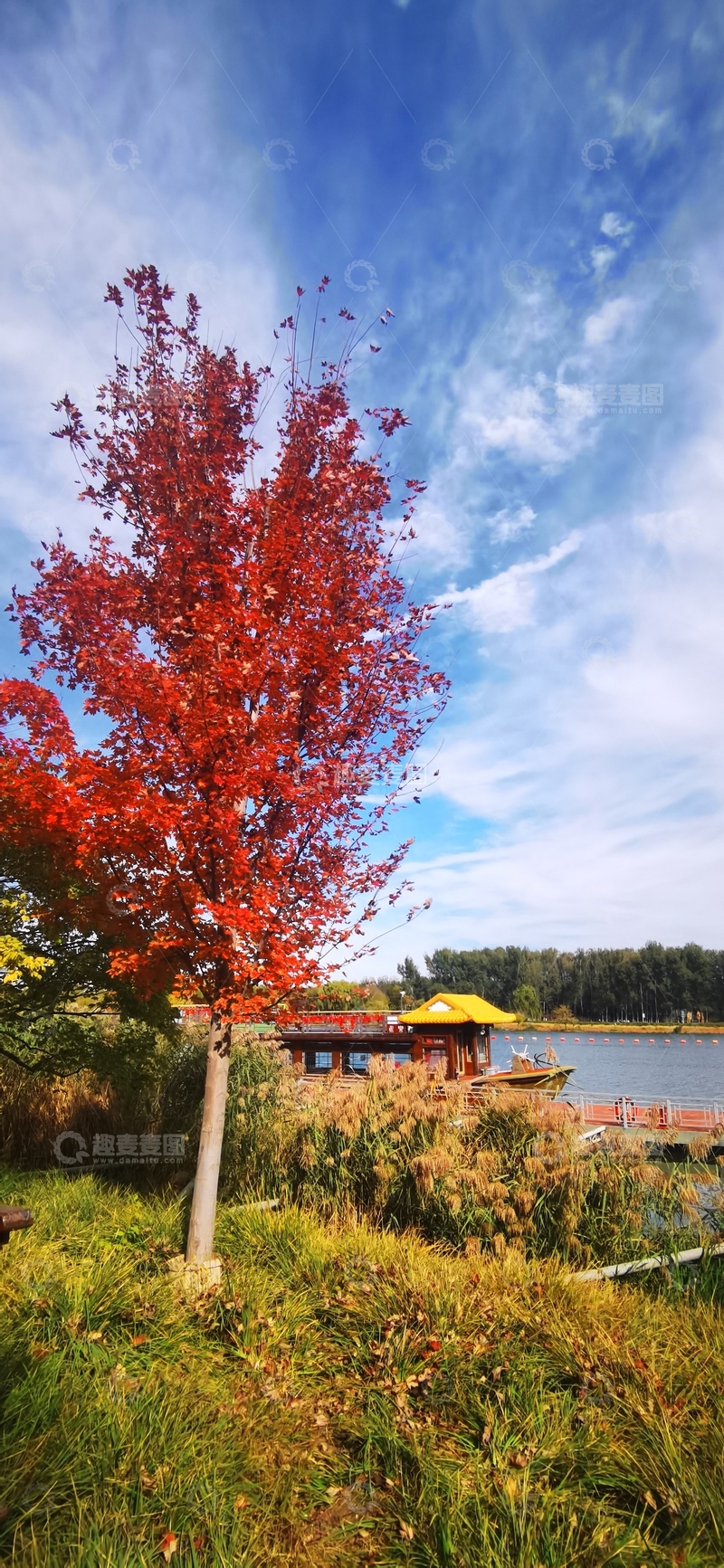 高清大图下载【趣麦麦图】秋日湖畔红树美景