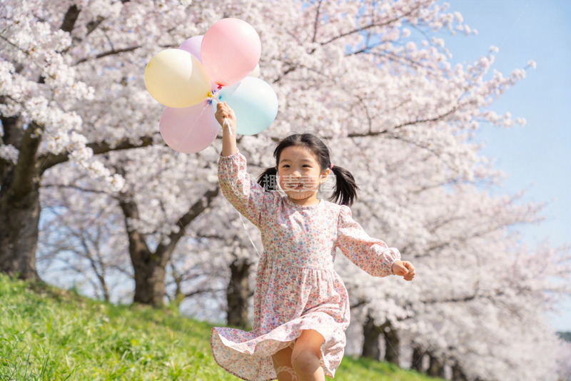 高清大图下载【趣麦麦图】春日樱花童趣写真素材