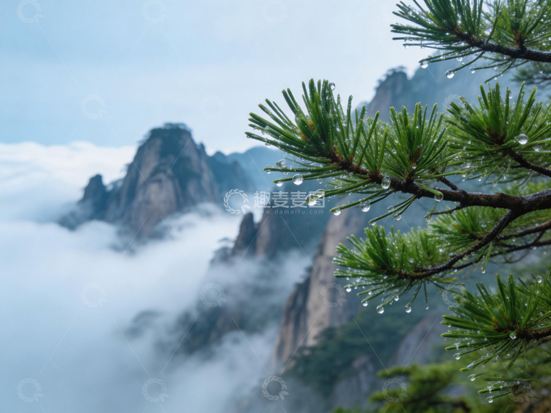 高清大图下载【趣麦麦图】云雾山峰松树风景摄影