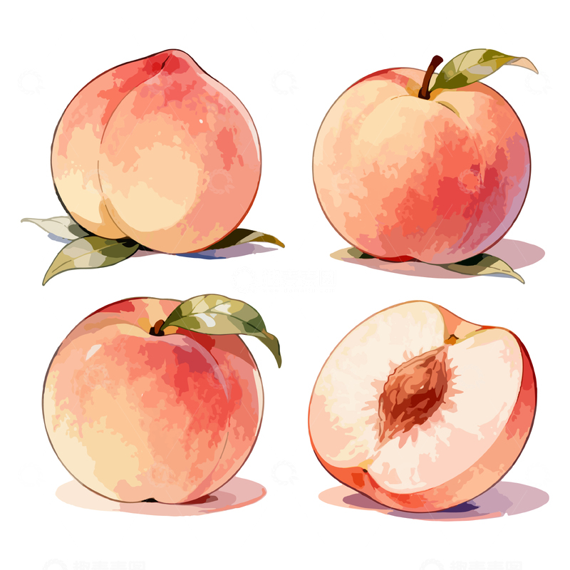 源文件下载【趣麦麦图】水彩风格桃子插画设计素材