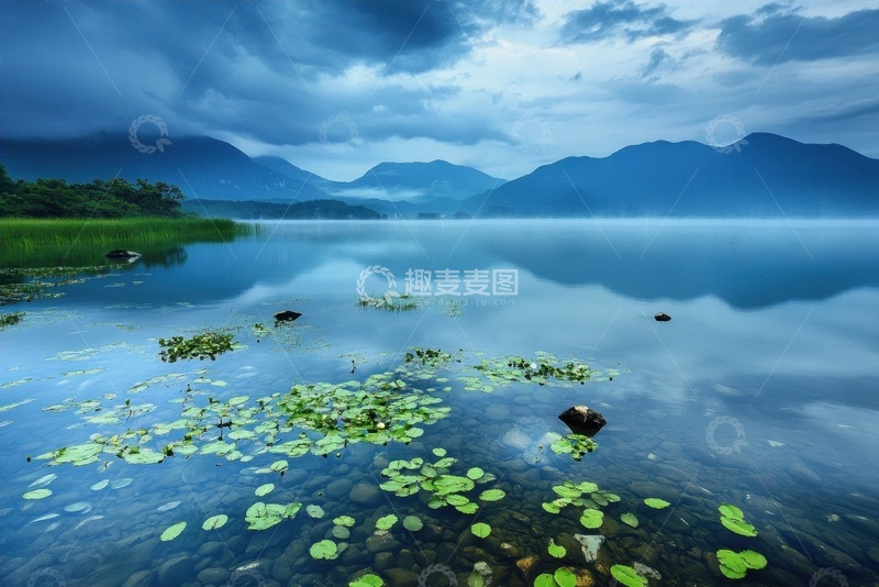 高清大图下载【趣麦麦图】湖泊浮萍自然美景
