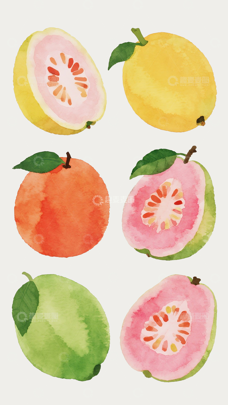 源文件下载【趣麦麦图】扁平水彩插画红心芭乐2