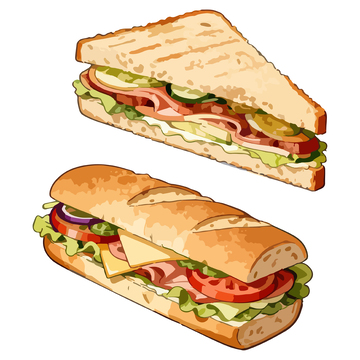 三明治手绘美食插画
