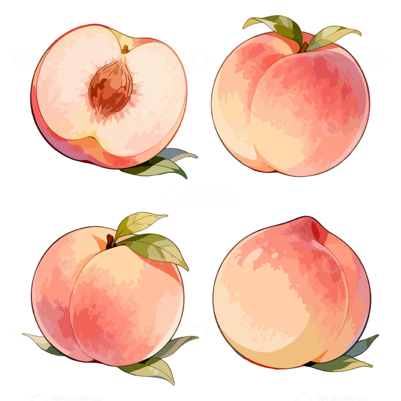 源文件下载【趣麦麦图】水彩风格桃子插画设计素材