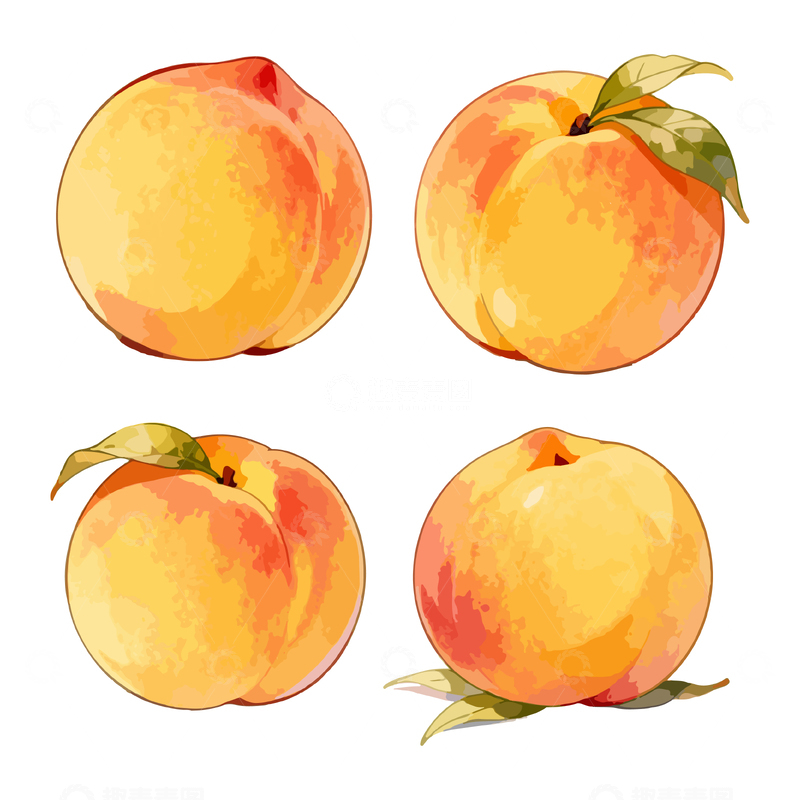 源文件下载【趣麦麦图】水彩桃子水果插画设计素材