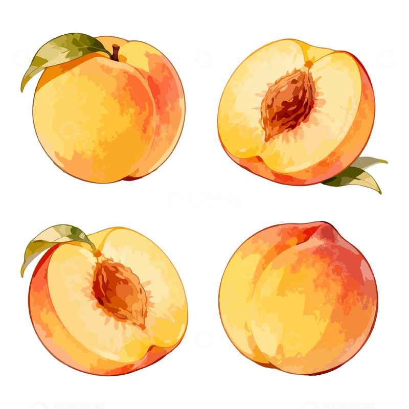 源文件下载【趣麦麦图】水彩风格桃子水果插画设计素材