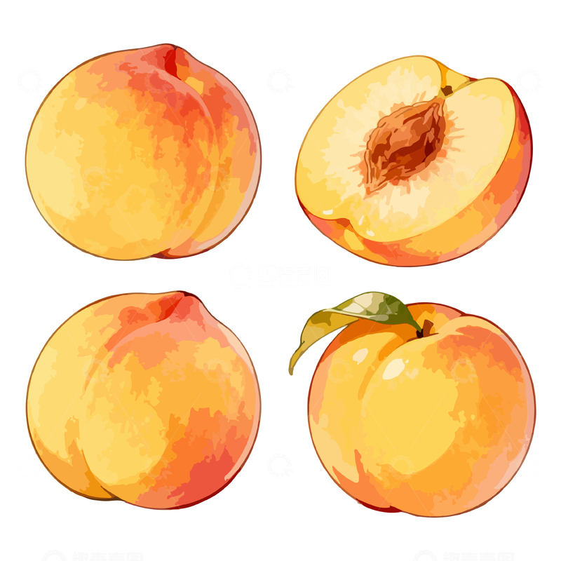 源文件下载【趣麦麦图】手绘风格黄桃插画设计元素