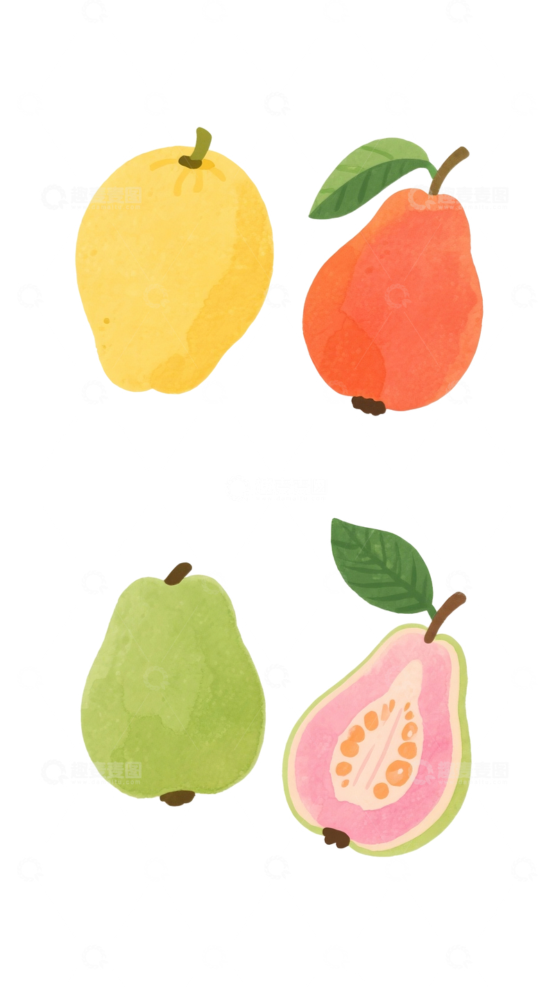 源文件下载【趣麦麦图】扁平水彩插画红心芭乐7