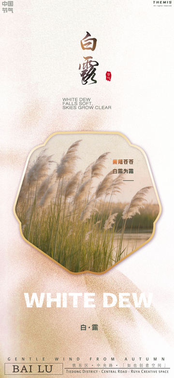 白露节气芦苇风景海报设计