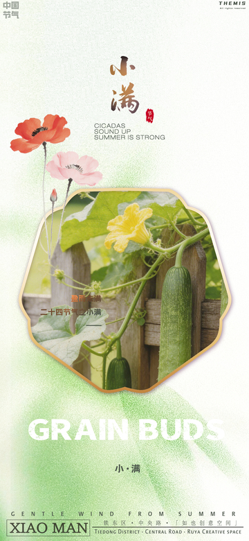 小满节气自然风植物海报设计素材