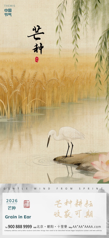 水墨风芒种节气稻田白鹭海报