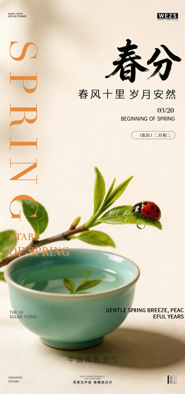 春分瓢虫节气海报设计