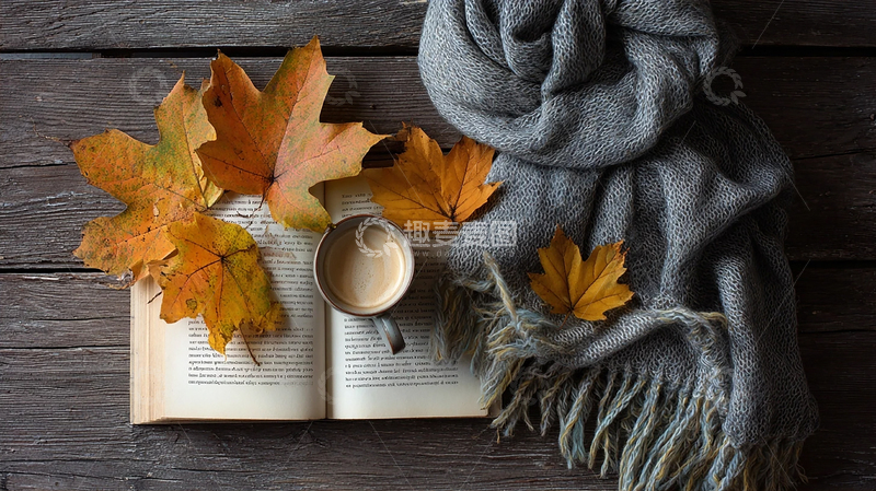 高清大图下载【趣麦麦图】秋日暖阳下的静谧阅读时光