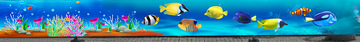 海洋世界卡通鱼类装饰画