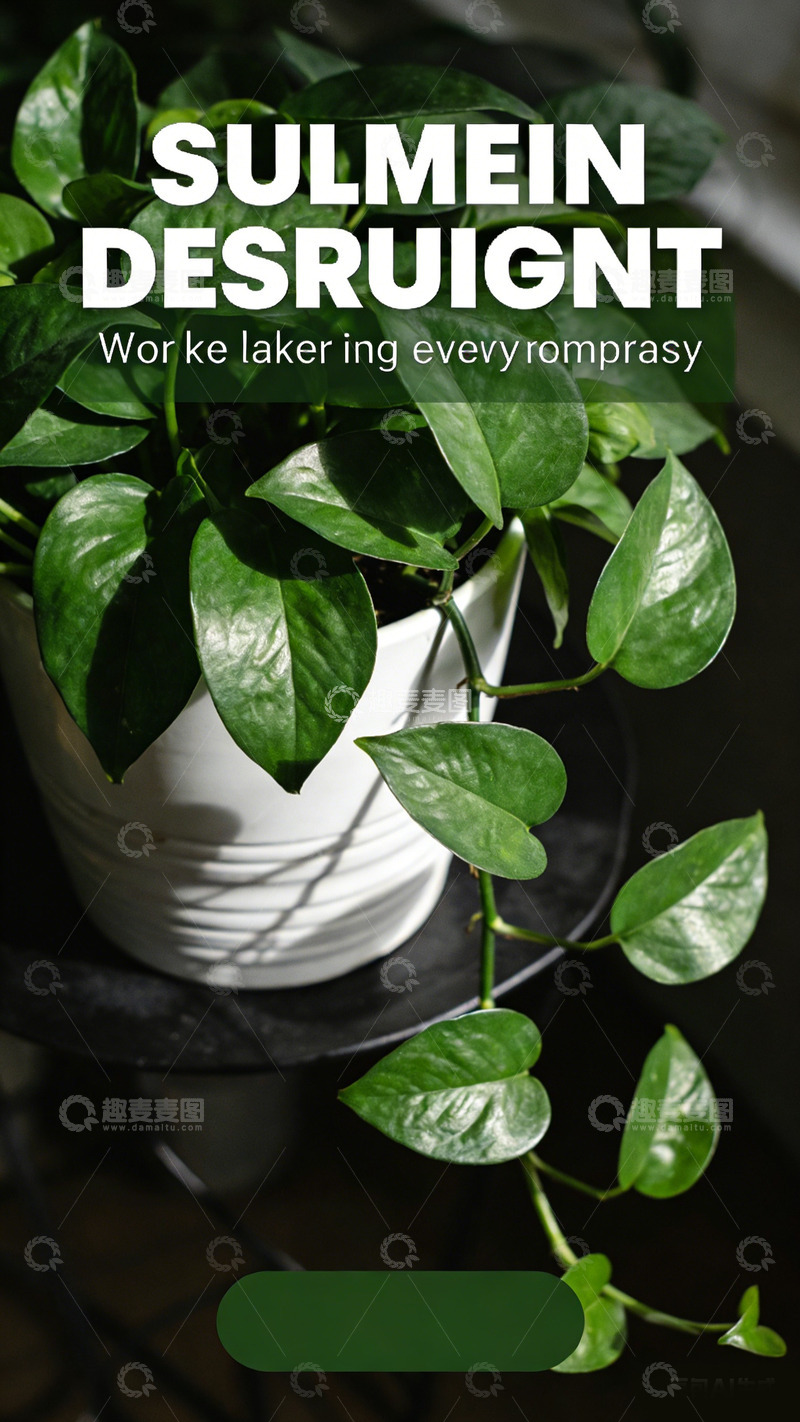 高清大图下载【趣麦麦图】绿植盆植清新家居