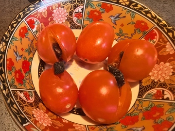 传统花纹盘柿子静物摄影