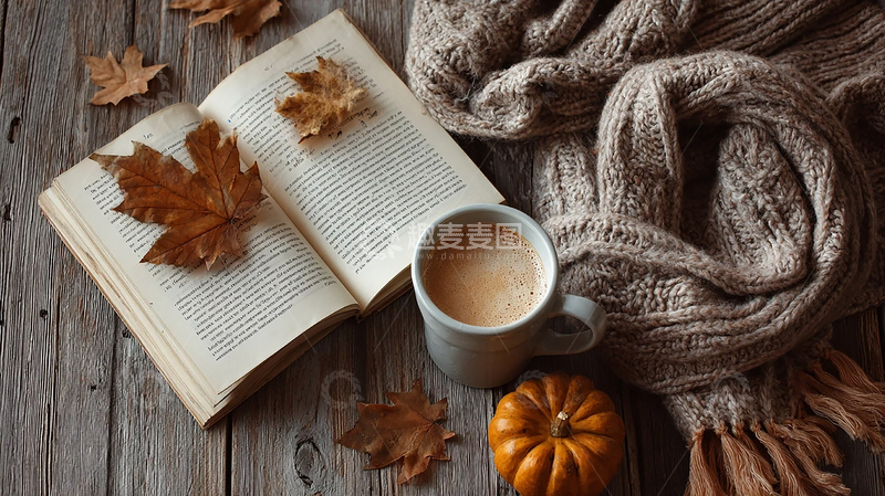 高清大图下载【趣麦麦图】秋日书香与暖意交织的时光