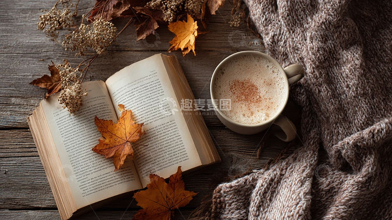 高清大图下载【趣麦麦图】秋日静谧的阅读角落