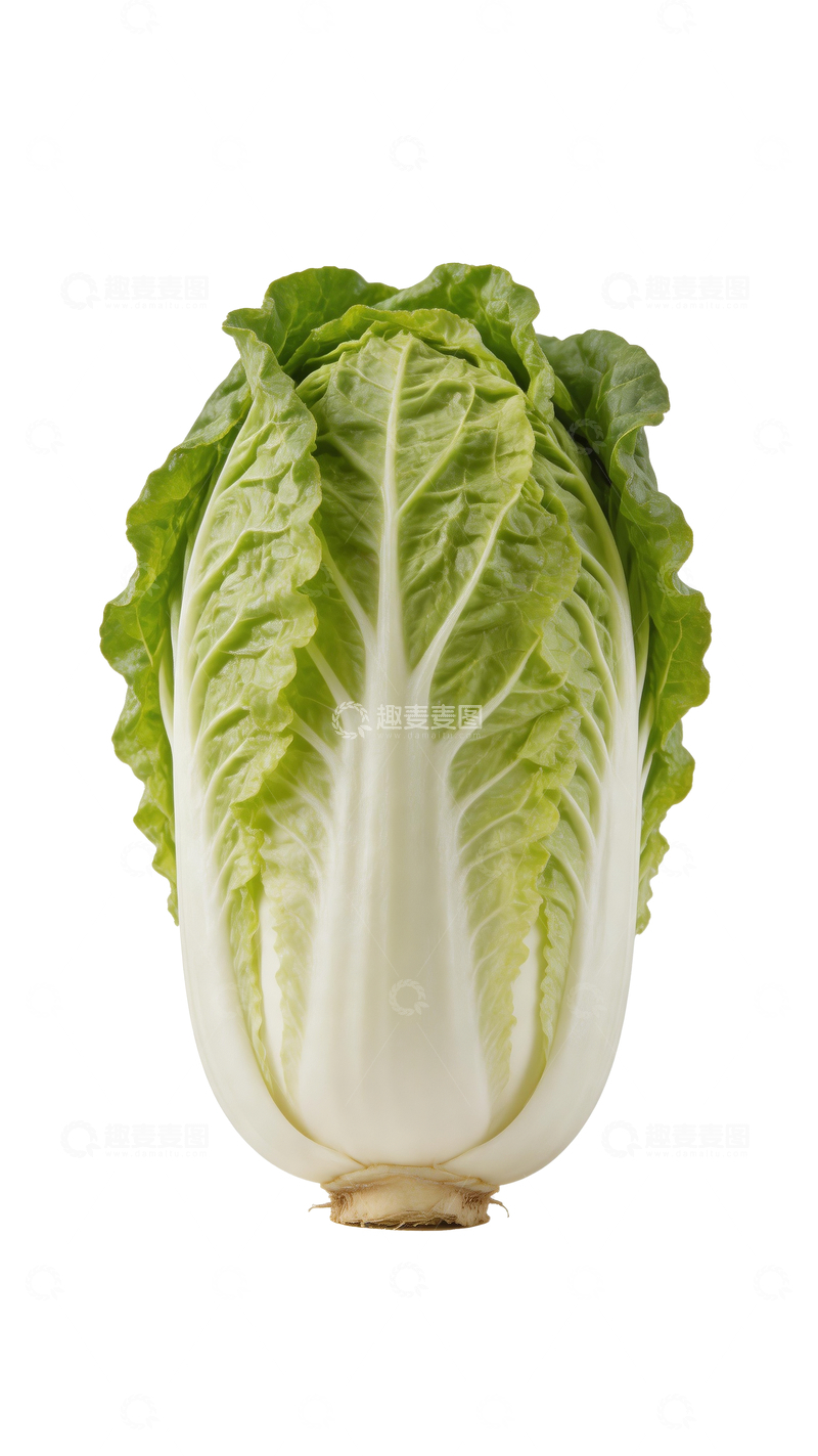 源文件下载【趣麦麦图】一颗新鲜白菜1
