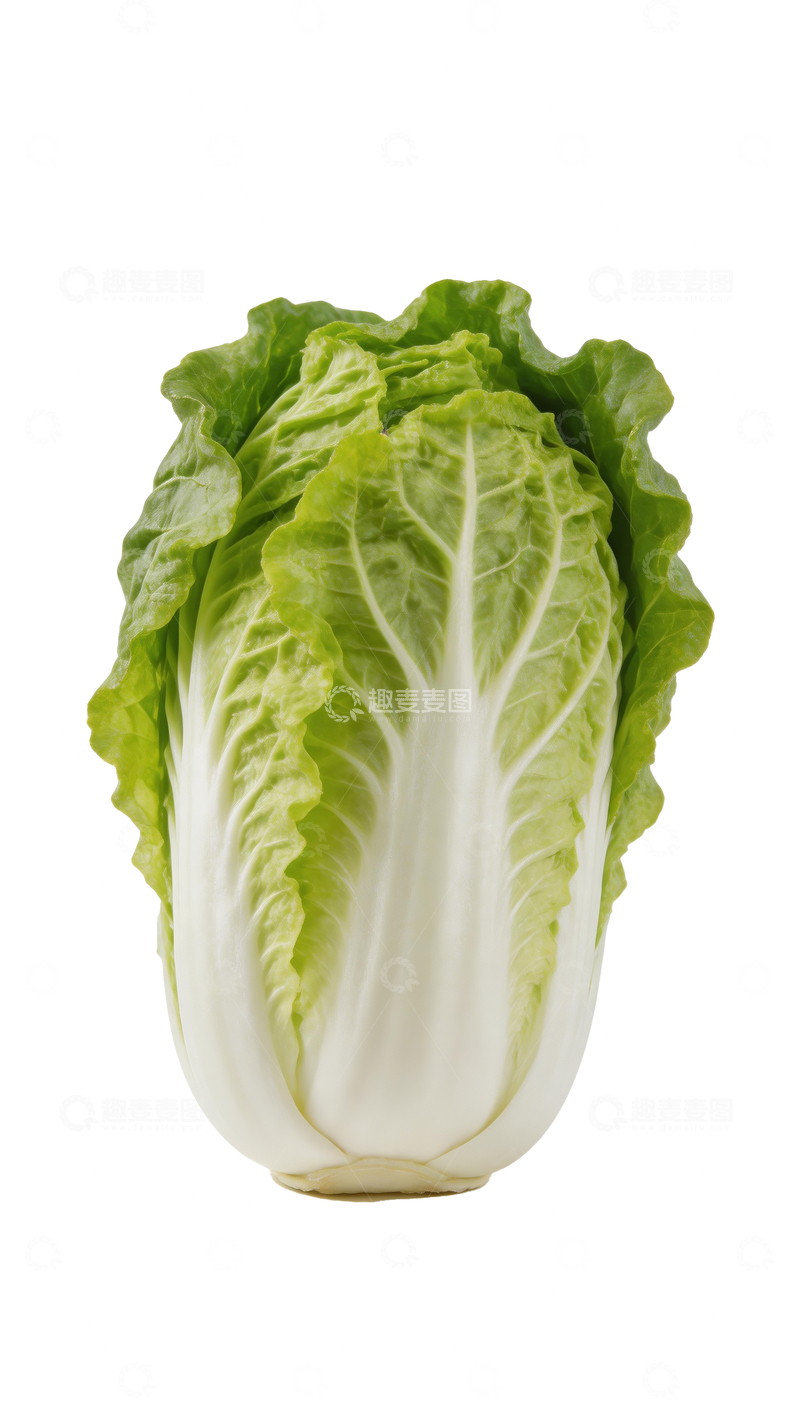 源文件下载【趣麦麦图】一颗新鲜白菜3
